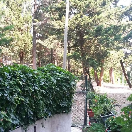 Anamarija Apartman Dubrovnik Kültér fotó
