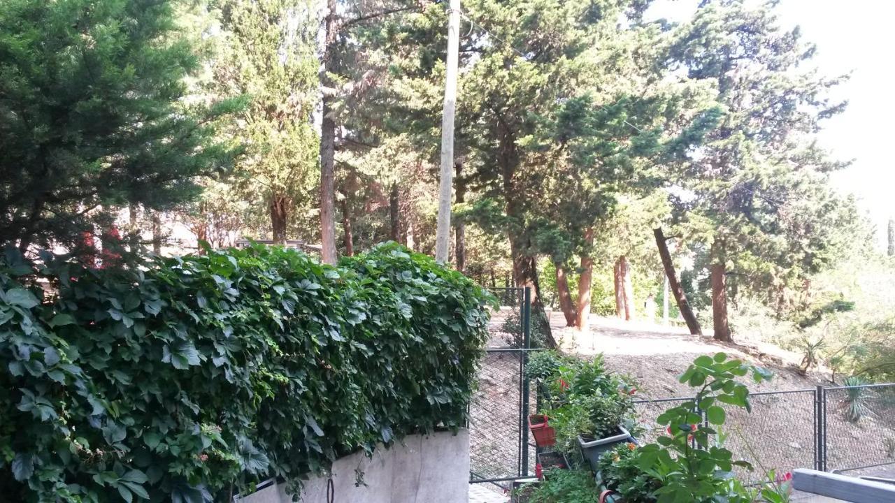 Anamarija Apartman Dubrovnik Kültér fotó