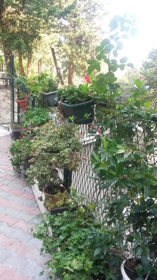 Anamarija Apartman Dubrovnik Kültér fotó